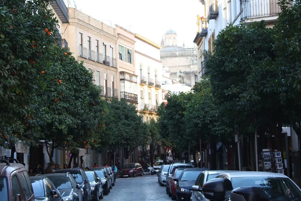 Apartamento Casa Sandra Arcos de la Frontera